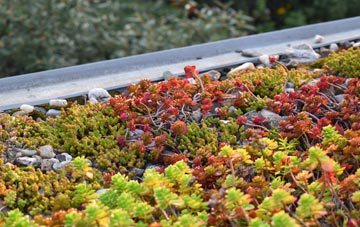 the cost of Chyanvounder green roof installation