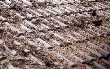 Chyanvounder roof cleaning companies