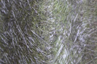 Chyanvounder fibreglass roof work