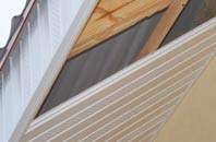 rated Chyanvounder soffit repair companies